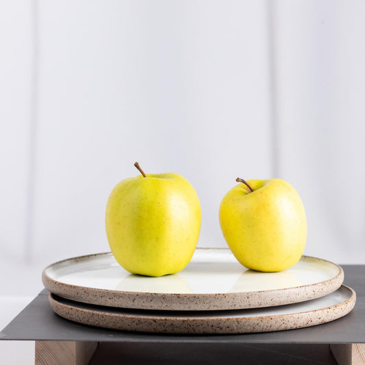 Everyday Dinner Plates – Set of Two - Lunora