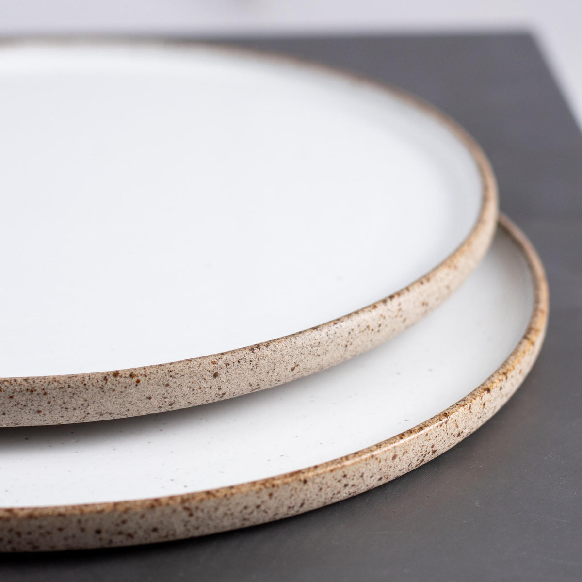 Everyday Dinner Plates – Set of Two - Lunora