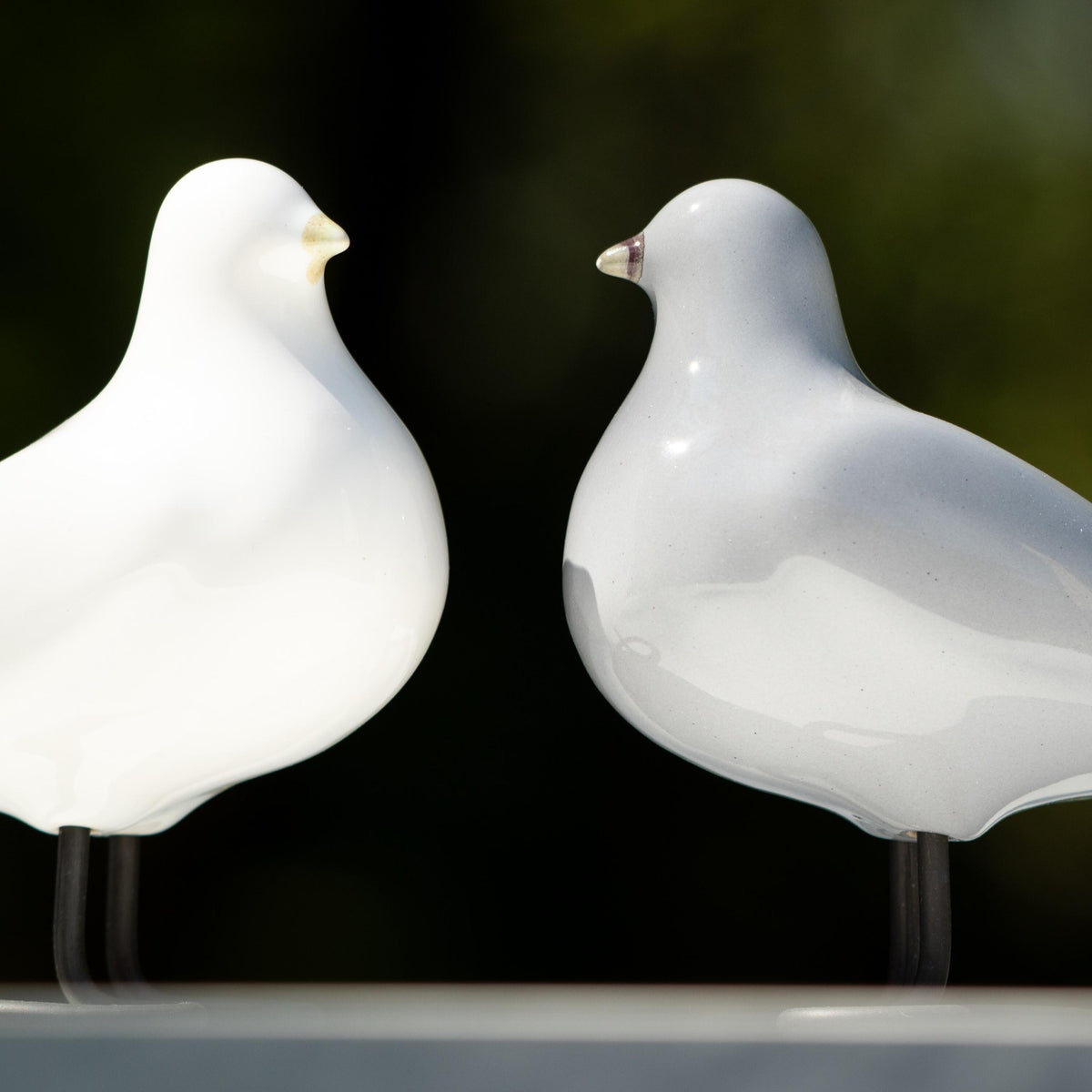 Companion Birds – White & Grey Pair - Lunora